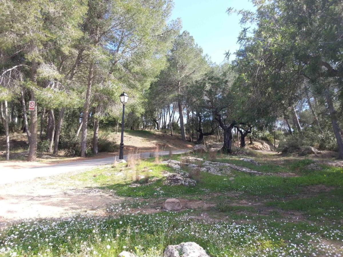 Villa Conchin Casa Junto A Parque Natural Alberic 외부 사진