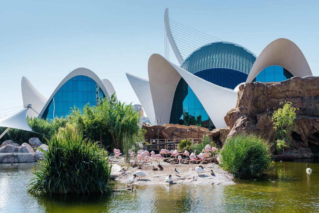 Villa Conchin Casa Junto A Parque Natural Alberic 외부 사진
